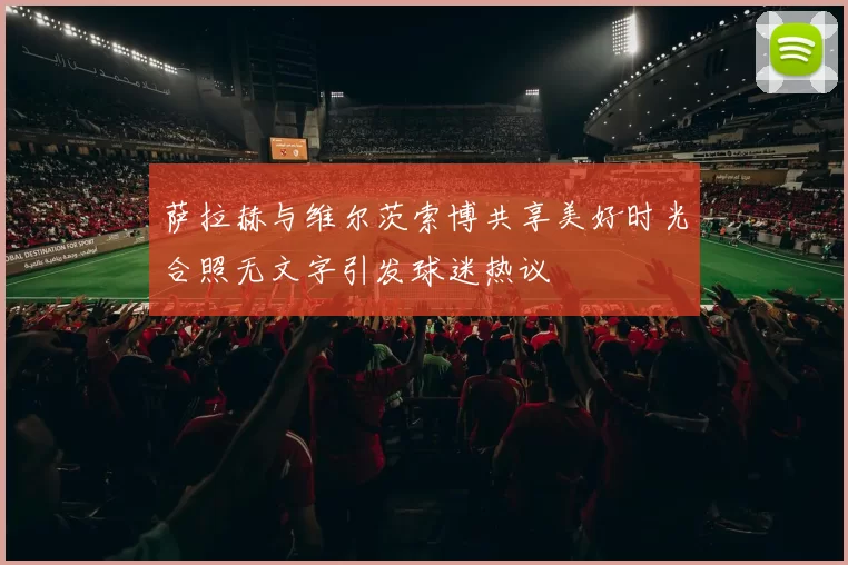 萨拉赫与维尔茨索博共享美好时光合照无文字引发球迷热议