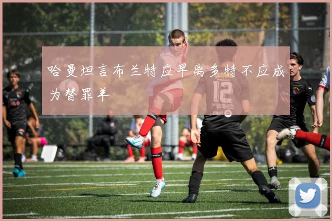 哈曼坦言布兰特应早离多特不应成为替罪羊